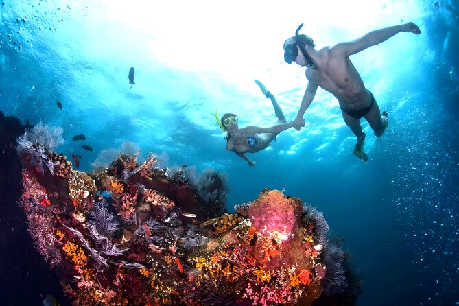 Snorkeling in Blue Lagoon Padang Bai Bali : Snorkel in the clear blue waters - Water clarity and floating debris: the real trade-off in rainy season