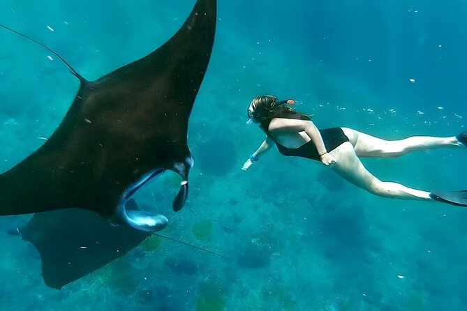 Snorkeling In Nusa Penida Departing From Bali Island - Key Highlights You Will Actually Feel On Day One