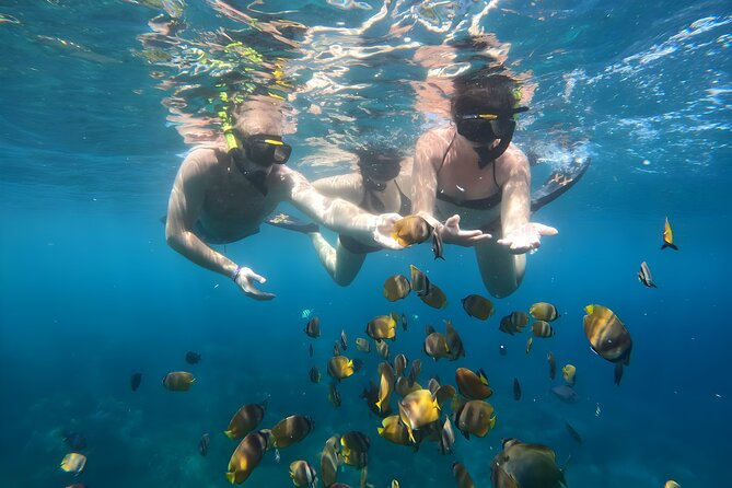 Snorkeling In Nusa Penida Departing From Bali Island - Snorkeling Locations: How Each Bay Fits the Day