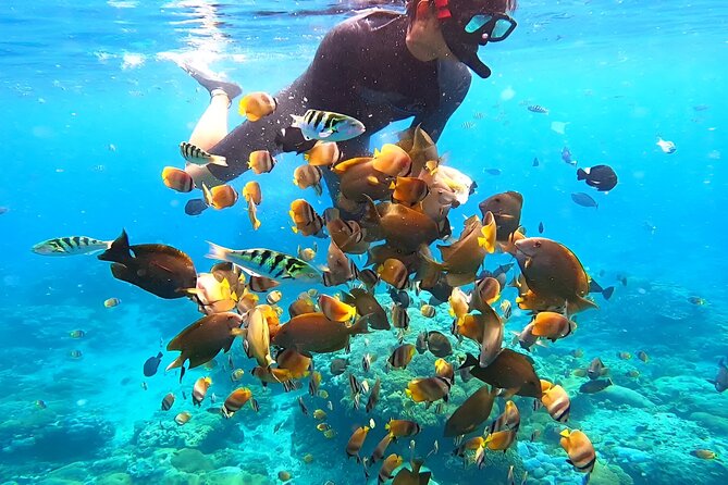 Snorkeling In Nusa Penida Departing From Bali Island - GoPro Underwater Photos: A Small Detail That Changes the Day