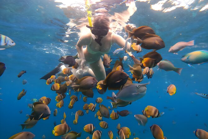 Snorkeling In Nusa Penida Departing From Bali Island - Group Size, Busy Water, and the Boats Factor