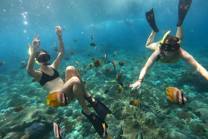 Snorkeling In Nusa Penida Departing From Bali Island - Guides and Service: What You Gain From a Well-Run Operation
