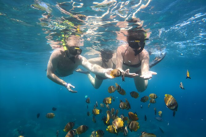 Snorkeling In Nusa Penida Island With Manta Ray From Bali - Price and value for a $95 half-day plan