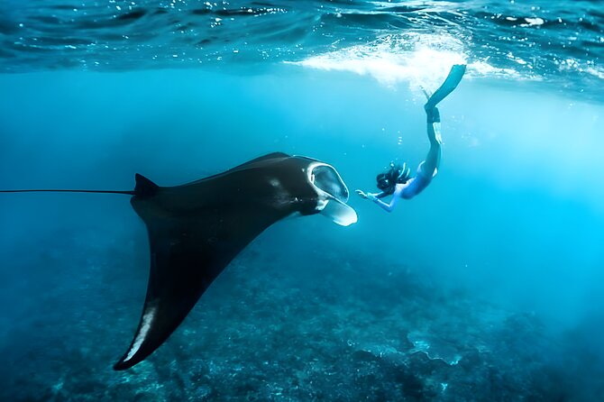 Snorkeling in Wall Point, Gamat Bay and Manta Bay: Nusa Penida Island - Why this Nusa Penida route makes sense for snorkelers