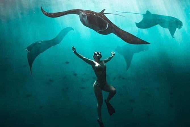 Snorkeling Nusa Penida and Island Tour Package - The Snorkeling Game Plan: Manta Point, Wall Point, Mangrove Point