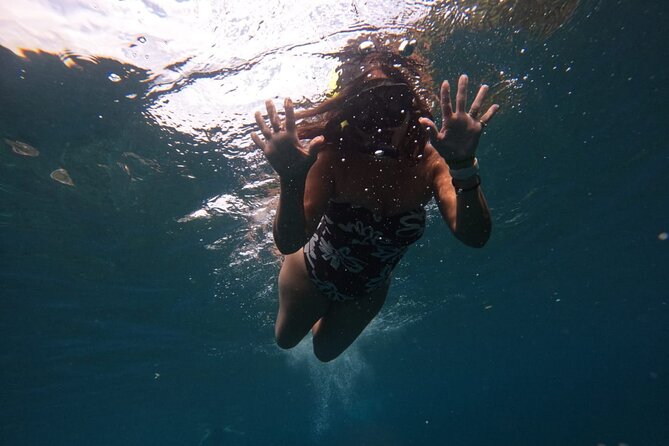 Snorkeling Nusa Penida and Island Tour Package - Price and Value: Is $90 Worth It?