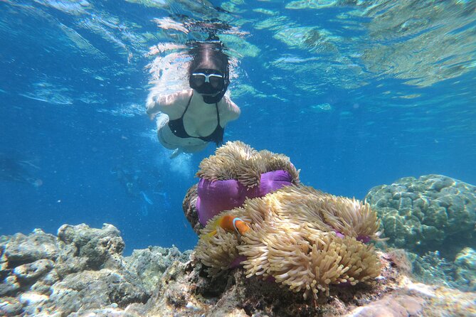 Snorkeling Tour at Blue Lagoon with Private Hotel Transfer - Quick, practical highlights