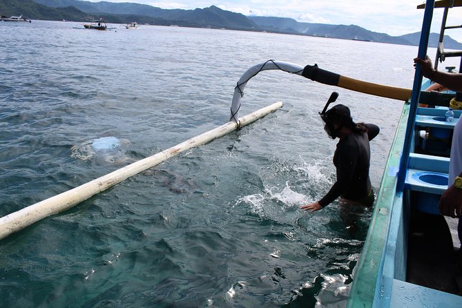 Snorkeling Tour at Blue Lagoon with Private Hotel Transfer - Blue Lagoon and Tanjung Jepun: What You Should Expect to See
