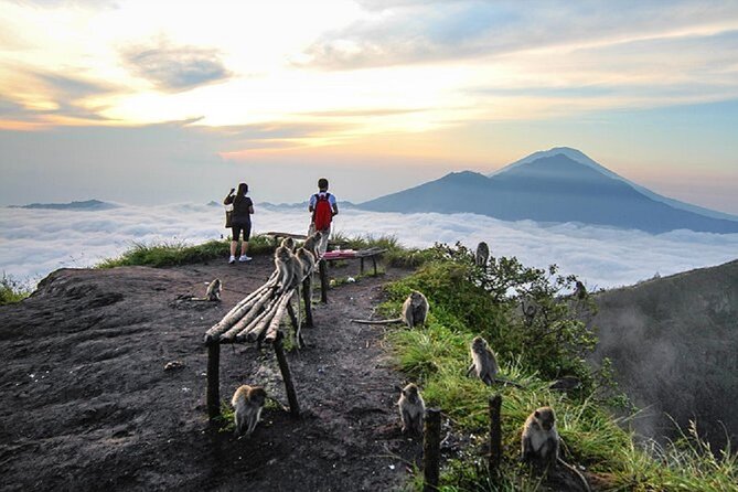 Sunrise Hike Mount Batur + Hotspring - The sunrise climb on Mount Batur: pacing, craters, and the monkey chance