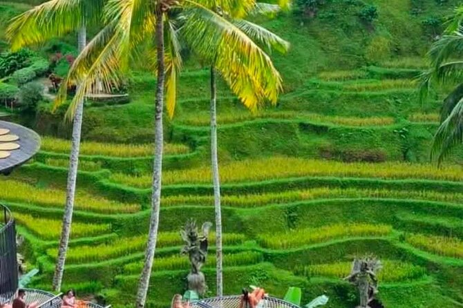 Sunset Sailboat Dinner Cruise & Private Ubud highlights Tour. - Uma Pakel Agro Tourism: a short nature break with tasting time