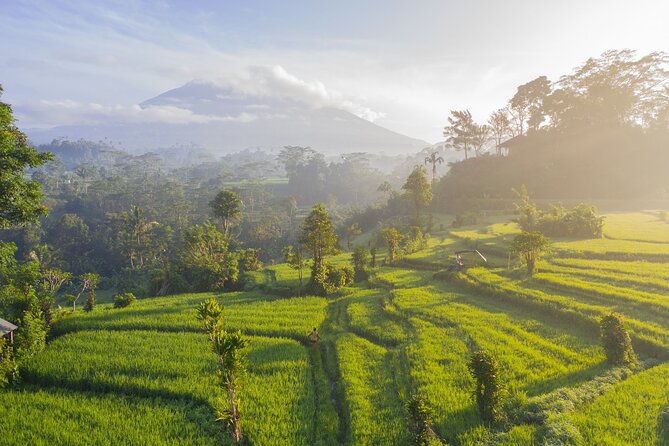 Tanah Lot - Jatiluwih (UNESCO) - Beratan lake -Hidden hill (Wanagiri)-FREE WI-FI - Stop 3: Ulun Danu Bratan Temple by Lake Beratan