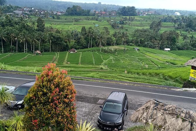 Tanah Lot Tour & North Bali Tour : All-Inclusive Best Experience - The Driver-Guide Experience: Where This Tour Gets Big Compliments