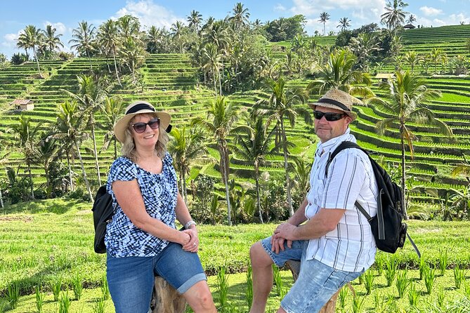 Tanah Lot Tour & North Bali Tour : All-Inclusive Best Experience - Jatiluwih Rice Terraces: The UNESCO Stop That Feels Bigger Than You Expect