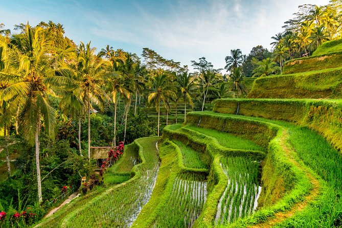 Tanah Lot Tour with Ubud Monkey Forest, Rice Terraces, and Waterfalls - How This Bali Day Trip Really Plays: Value and Expectations