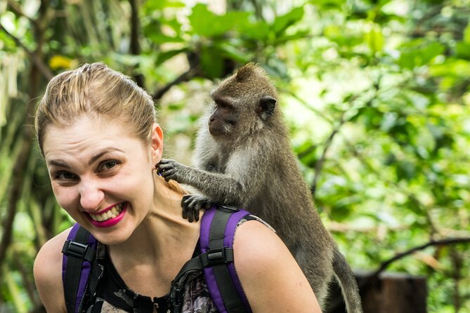 Tanah Lot Tour with Ubud Monkey Forest, Rice Terraces, and Waterfalls - Tanah Lot Temple: Rock, Sea Views, and Why Timing Can Vary
