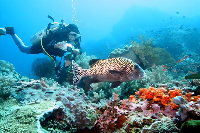 Tanjung Benoa Water Sports: All Inclusive Bali Activities - Price and value: what $70 per person really covers