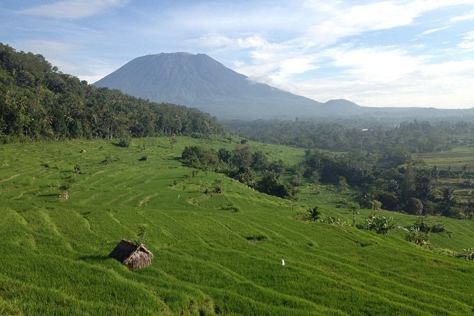 Tenganan Village Rice Field Trekking Tour - How the Day Runs From Your Hotel to Karangasem