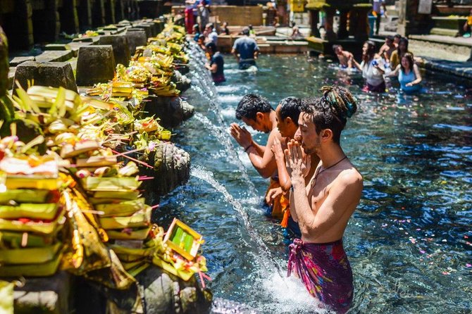 The Best of Ubud Tour and Jungle Swing - Key Points You Will Care About
