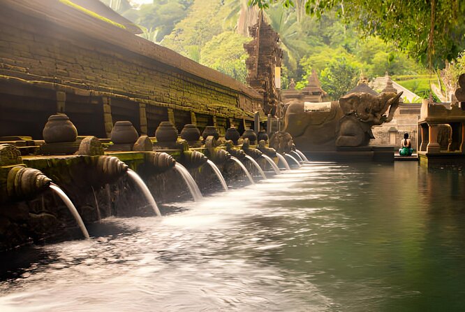 Ubud Bali: Rice Terrace, Waterfall and Tirta empul Day Tour - Goa Gajah (Elephant Cave): short time, strong cultural signal