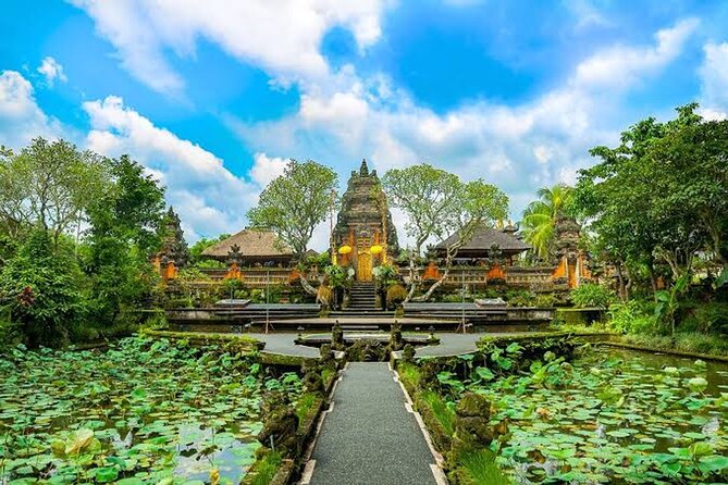 Ubud Bali: Rice Terrace, Waterfall and Tirta empul Day Tour - Who should book this day tour, and who might skip it