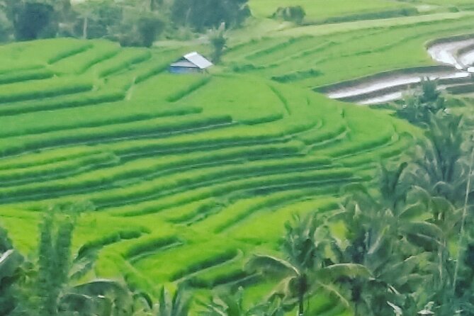 Ubud Buggy Adventure & Costumize Activities & cultural tours - Hotel pickup and the travel flow that keeps the day easy