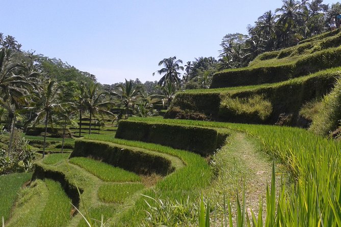 Ubud Cultural Day Tour: A Day for Balinese Cultural Experience - Stop 5: Ubud Palace, Culture Conservation and Royal Heritage