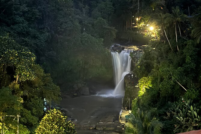 Ubud Day Tour with Private Car & Local Driver - Goa Gajah (Elephant Cave): a 9th-century spiritual site