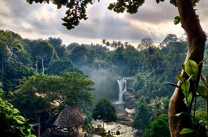 Ubud Day Tour with Private Car & Local Driver - Tegalalang Rice Terrace: UNESCO recognized and photo-friendly for a reason
