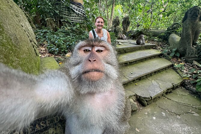 Ubud Day Tour with Private Car & Local Driver - Shopping time: use it wisely, not randomly