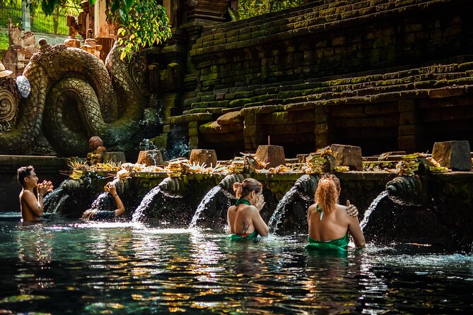 Ubud Experience | Full Day Private Tour in Ubud | FREE WIFI - Sacred Monkey Forest Sanctuary: shade, temples, and real monkey energy