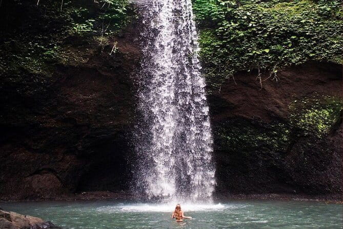 Ubud Full Day - Monkey Forest, Rice Terrace and Waterfalls Tour - Tegalalang Rice Terrace: where the farm talk becomes real