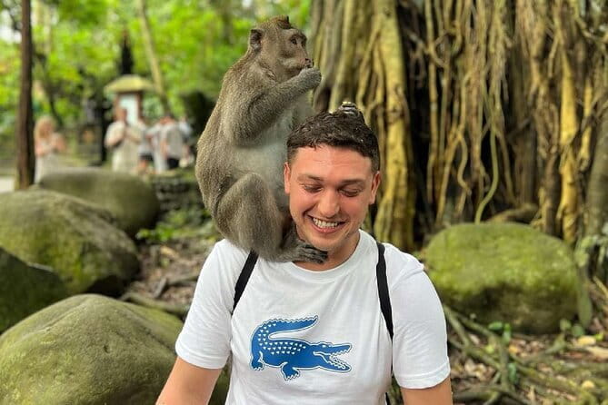 Ubud Full Day - Monkey Forest, Rice Terrace and Waterfalls Tour - Sacred Monkey Forest Sanctuary: conservation, selfies, and quick rules