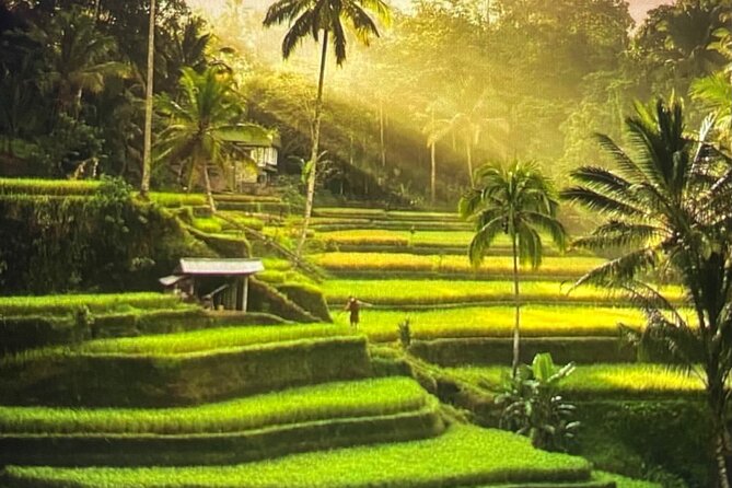 Ubud Highlight Rice Terrace,Waterfall,Temple and Art village - Key highlights you’ll care about