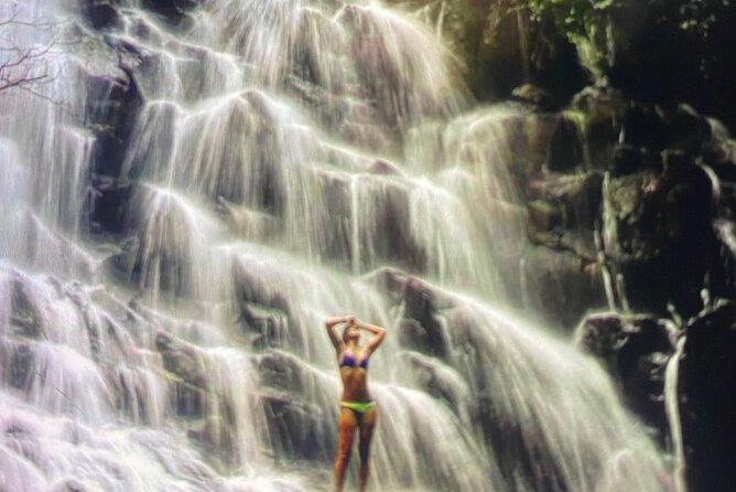 Ubud Highlight Rice Terrace,Waterfall,Temple and Art village - Price and what you actually get for $27.49