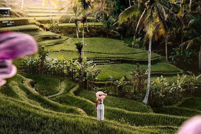 Ubud Highlights -Private Tour,Temples, Waterfalls & Rice terraces - Key takeaways before you go