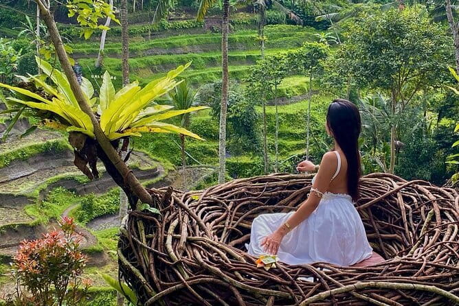 Ubud Highlights -Private Tour,Temples, Waterfalls & Rice terraces - The day runs like a hits-and-stops Ubud sampler
