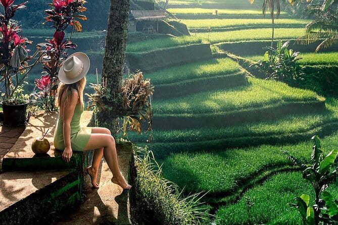 Ubud Highlights -Private Tour,Temples, Waterfalls & Rice terraces - Getting to Ubud from Seminyak and why private transport pays off