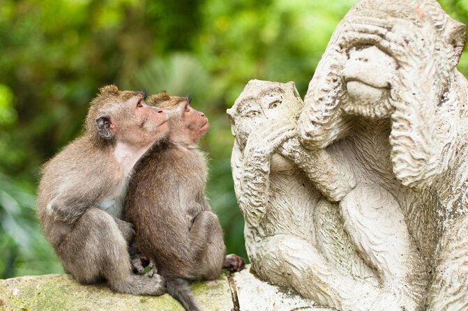 Ubud Kintamani Tour - Quick Takeaways