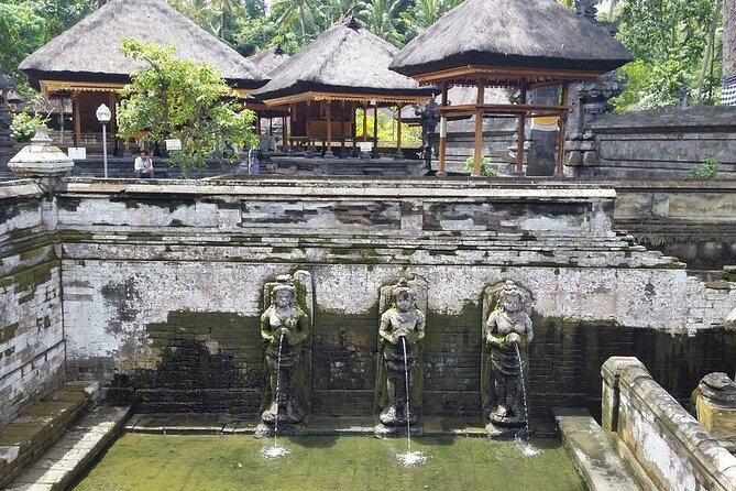 Ubud Kintamani Tour - Price and Logistics: What a $60 Day Really Means