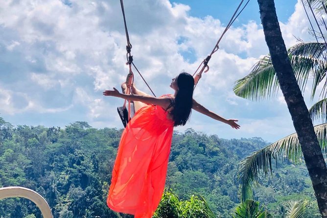 Ubud Natural Gems And Secret Waterfall Private Guided Tour - Why this Ubud countryside day tour makes sense for a tight schedule