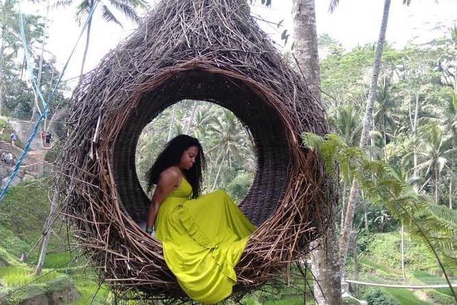 Ubud Natural Gems And Secret Waterfall Private Guided Tour - Happy Swing Bali: the photo moment that fits even in a busy day