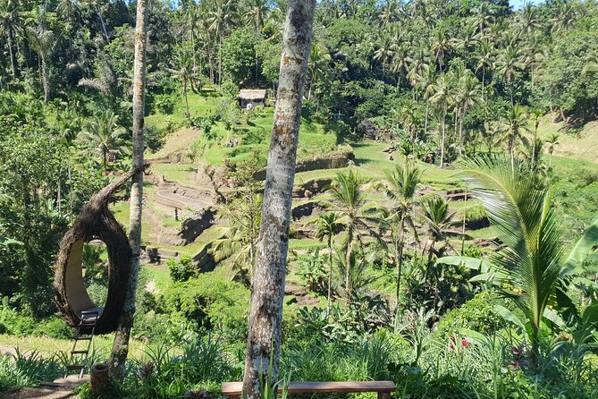 Ubud Private Tour - Who This Tour Suits Best