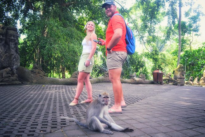 Ubud Private Tour : Choice Your Own Trip - Tegenungan Waterfall: refreshing views with separate entry
