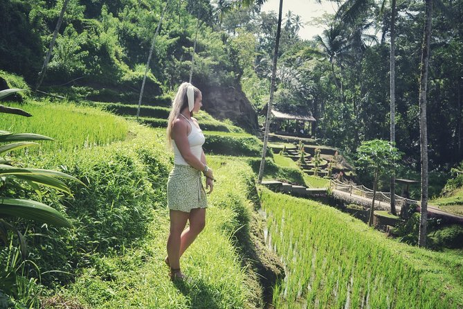 Ubud Private Tour : Choice Your Own Trip - Sacred Monkey Forest Sanctuary: plan for crowds and calm rules
