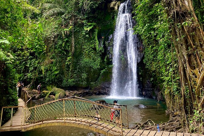 Ubud Private Tour: Monkey Forest, Rice Terrace, Temple, Waterfall - Tirta Empul Temple: the holy spring water ritual stop