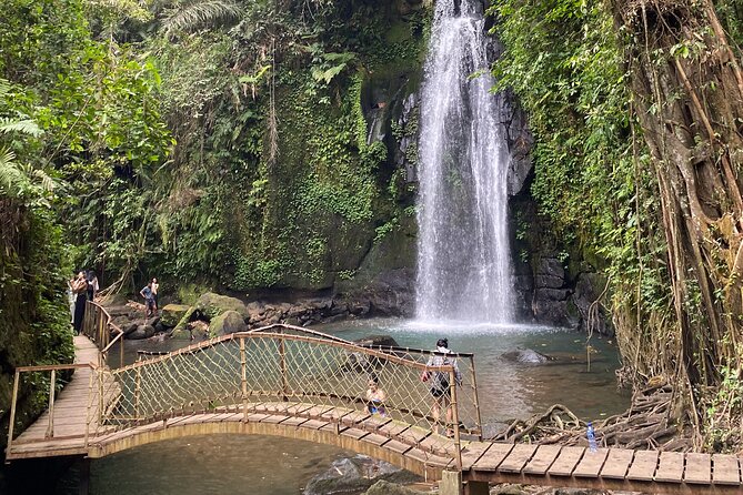 Ubud Private Tour: Monkey Forest, Rice Terrace, Temple, Waterfall - Price and what you get for $27, plus entrance fee options