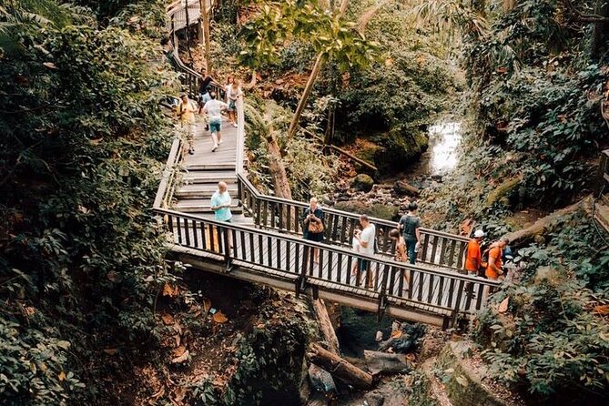 Ubud Private Tour: Monkey Forest, Rice Terrace, Temple, Waterfall - Seminyak pickup and the ride toward Ubud