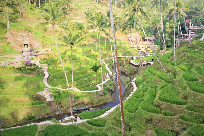 Ubud Private Tour : Ubud Temple and Authentic of Ubud - Tegenungan Waterfall and Tegalalang Rice Terraces: Nature and Irrigation