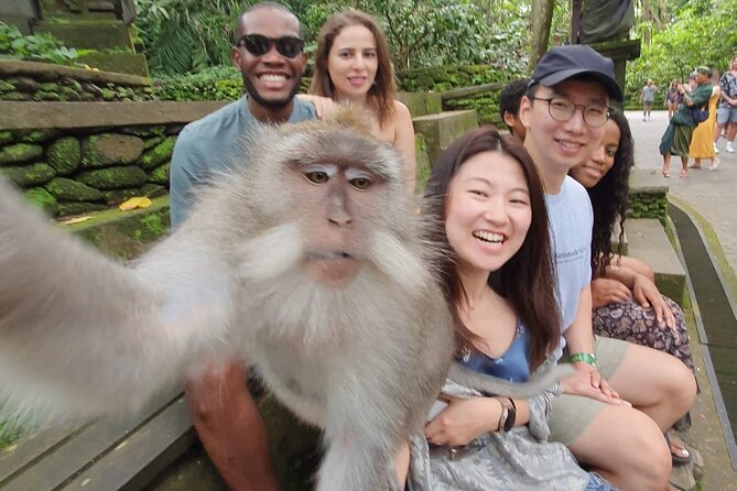 Ubud Private Tour - Stop-by-Stop: What Each Moment Feels Like