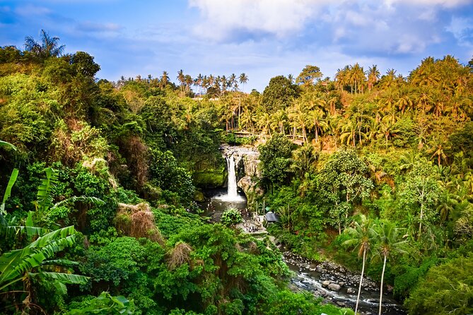 Ubud private tours - Tirta Empul Temple: experiencing Balinese heritage through the holy water